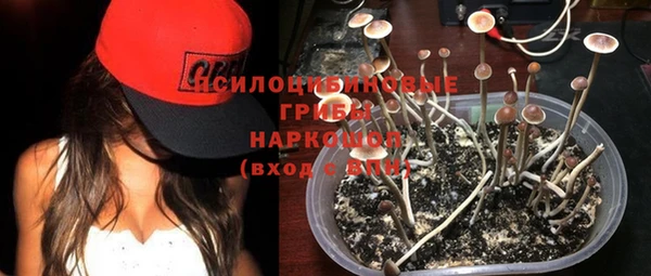 мескалин Лабытнанги