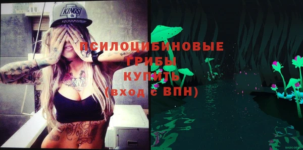 метадон Ладушкин