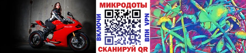 Галлюциногенные грибы Magic Shrooms  Купить  Луга 